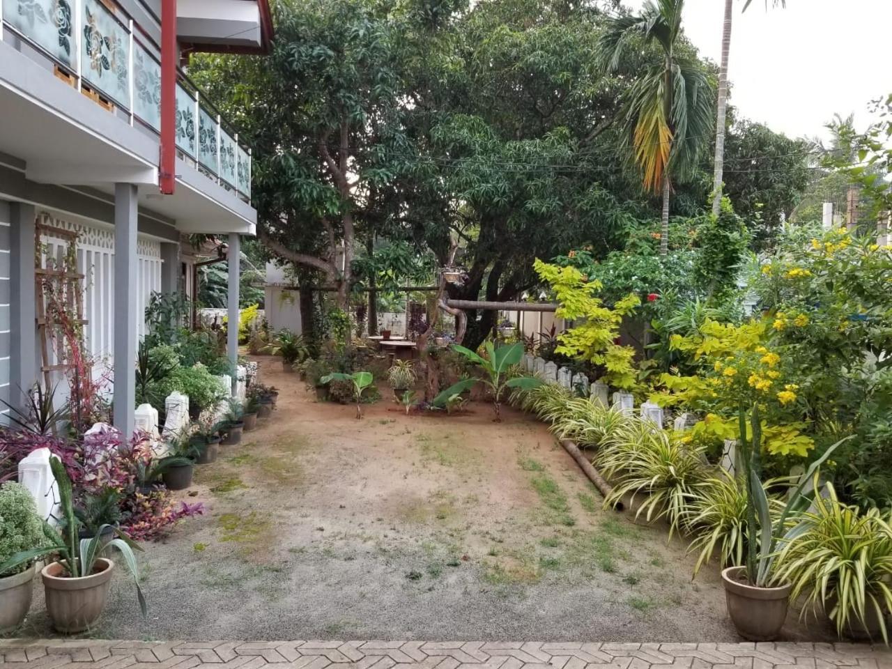 Berty'S Cottage 贾夫纳 外观 照片