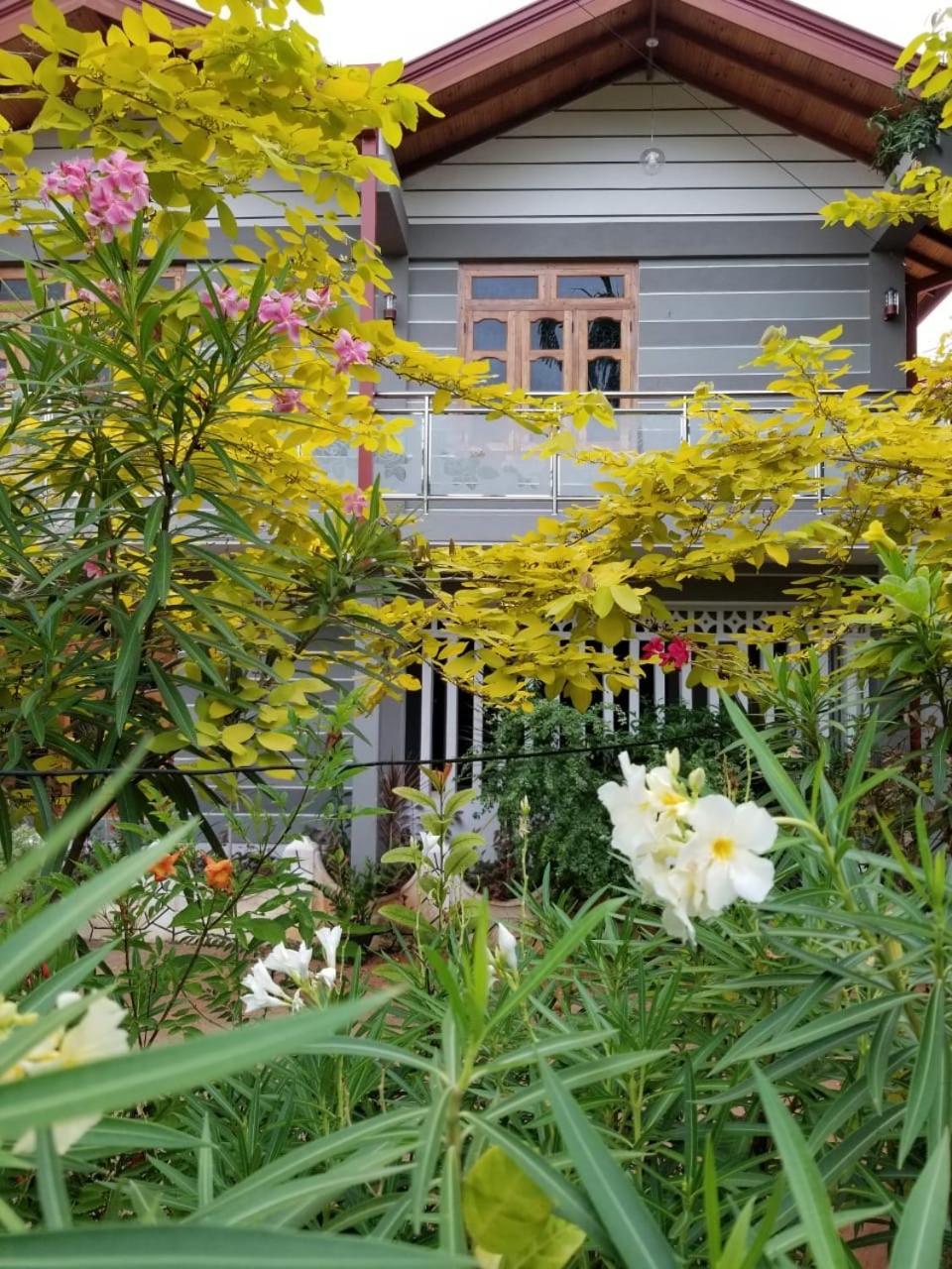 Berty'S Cottage 贾夫纳 外观 照片